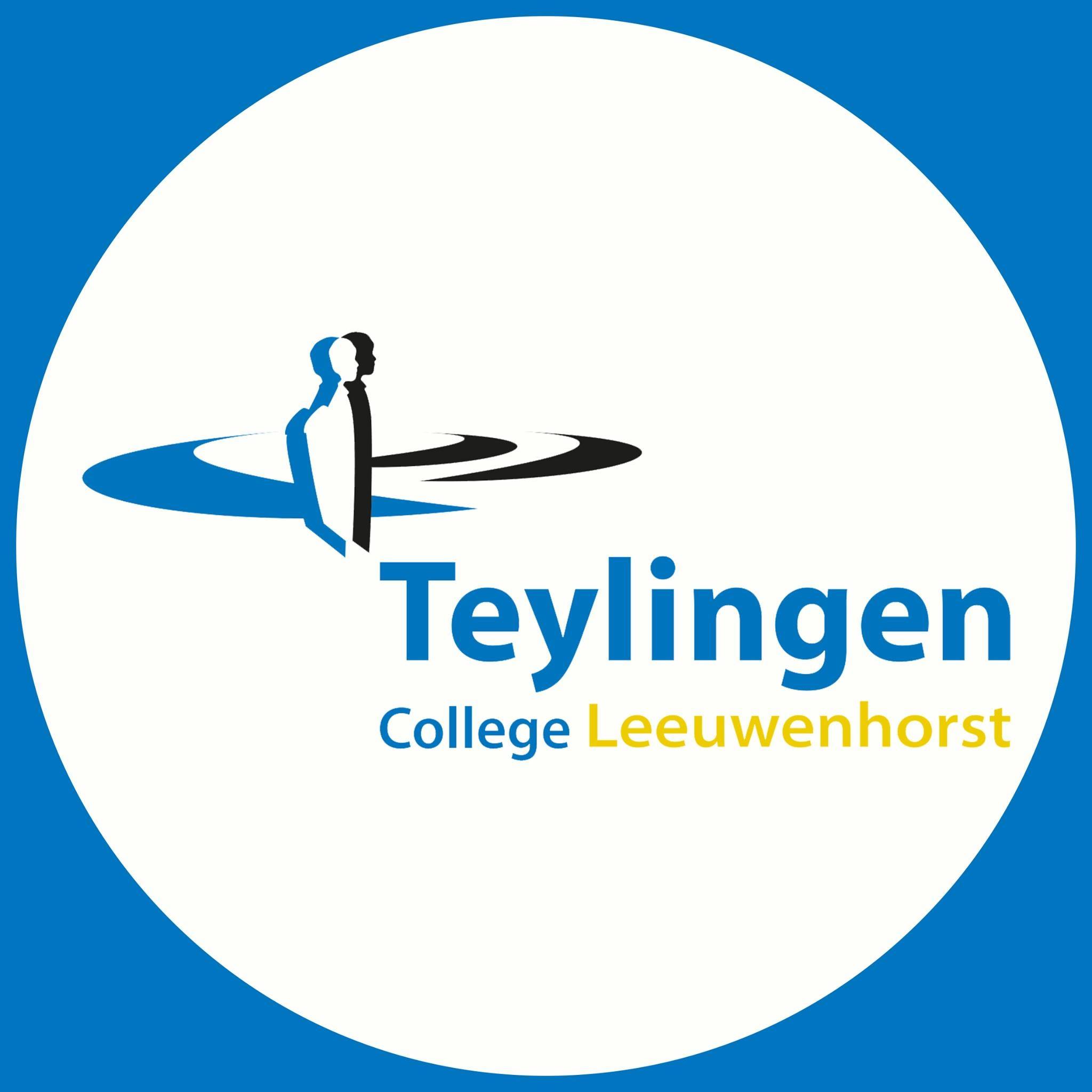 Logo der Hochschule Teylingen